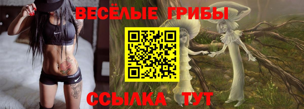 Галлюциногенные грибы прущие грибы Шахты